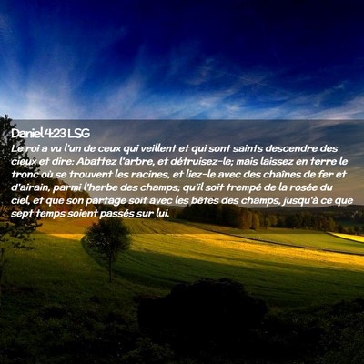 Picture 02 - Daniel 4:23 LSG - Le roi a vu l'un de ceux qui veillent et qui sont - Bible Verse Picture