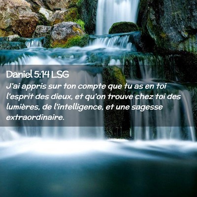 Picture 02 - Daniel 5:14 LSG - J'ai appris sur ton compte que tu as en toi - Bible Verse Picture