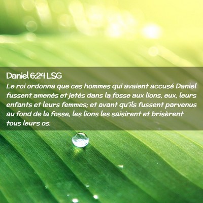 Picture 02 - Daniel 6:24 LSG - Le roi ordonna que ces hommes qui avaient accusé - Bible Verse Picture