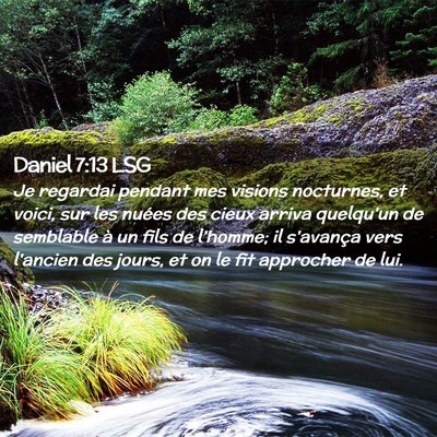 Picture 02 - Daniel 7:13 LSG - Je regardai pendant mes visions nocturnes, et - Bible Verse Picture