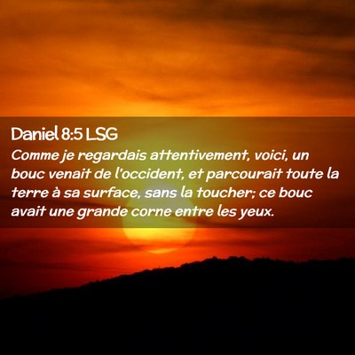Picture 02 - Daniel 8:5 LSG - Comme je regardais attentivement, voici, un bouc - Bible Verse Picture