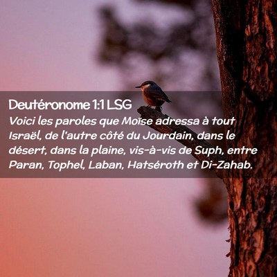Picture 02 - Deutéronome 1:1 LSG - Voici les paroles que Moïse adressa à tout - Bible Verse Picture