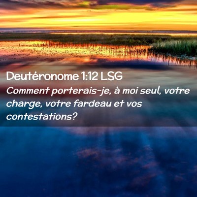 Picture 02 - Deutéronome 1:12 LSG - Comment porterais-je, à moi seul, votre charge, - Bible Verse Picture