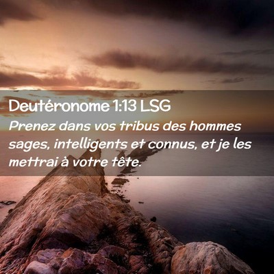 Picture 02 - Deutéronome 1:13 LSG - Prenez dans vos tribus des hommes sages, - Bible Verse Picture