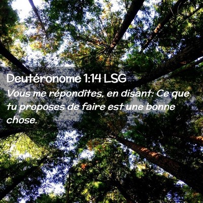 Picture 02 - Deutéronome 1:14 LSG - Vous me répondîtes, en disant: Ce que tu - Bible Verse Picture
