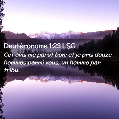 Picture 02 - Deutéronome 1:23 LSG - Cet avis me parut bon; et je pris douze hommes - Bible Verse Picture
