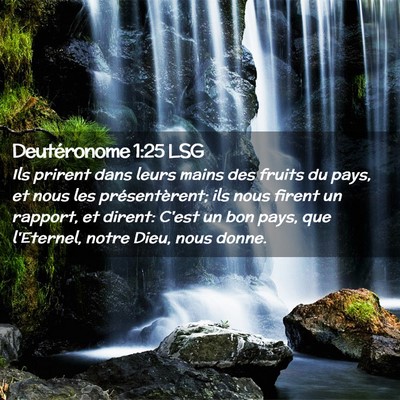 Picture 02 - Deutéronome 1:25 LSG - Ils prirent dans leurs mains des fruits du pays, - Bible Verse Picture