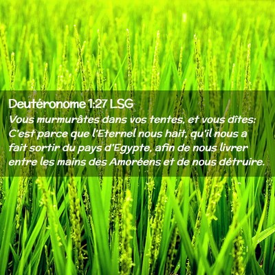 Picture 02 - Deutéronome 1:27 LSG - Vous murmurâtes dans vos tentes, et vous dîtes: - Bible Verse Picture