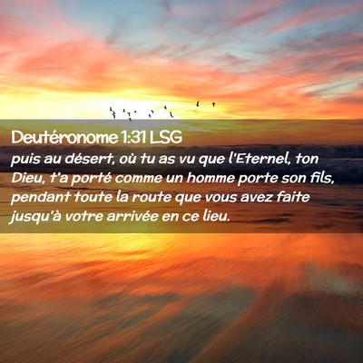 Picture 02 - Deutéronome 1:31 LSG - puis au désert, où tu as vu que l'Eternel, ton - Bible Verse Picture