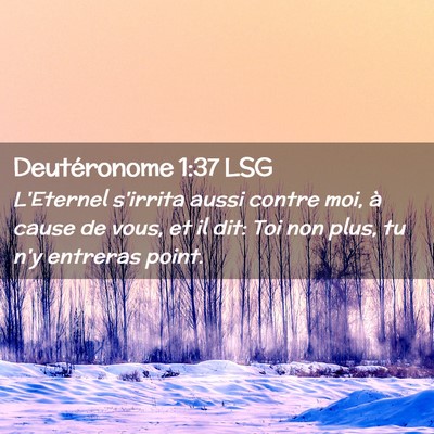 Picture 02 - Deutéronome 1:37 LSG - L'Eternel s'irrita aussi contre moi, à cause de - Bible Verse Picture