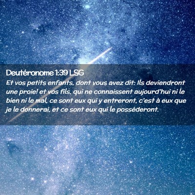 Picture 02 - Deutéronome 1:39 LSG - Et vos petits enfants, dont vous avez dit: Ils - Bible Verse Picture