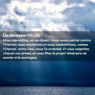Picture 02 - Deutéronome 1:41 LSG - Vous répondîtes, en me disant: Nous avons - Bible Verse Picture