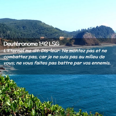 Picture 02 - Deutéronome 1:42 LSG - L'Eternel me dit: Dis-leur: Ne montez pas et ne - Bible Verse Picture