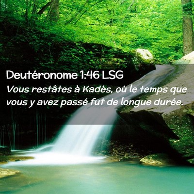 Picture 02 - Deutéronome 1:46 LSG - Vous restâtes à Kadès, où le temps que vous y - Bible Verse Picture