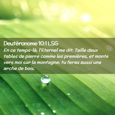 Picture 02 - Deutéronome 10:1 LSG - En ce temps-là, l'Eternel me dit: Taille deux - Bible Verse Picture
