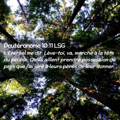 Picture 02 - Deutéronome 10:11 LSG - L'Eternel me dit: Lève-toi, va, marche à la - Bible Verse Picture