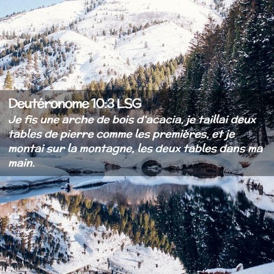 Picture 02 - Deutéronome 10:3 LSG - Je fis une arche de bois d'acacia, je taillai - Bible Verse Picture