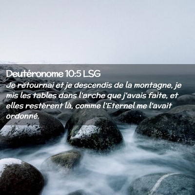 Picture 02 - Deutéronome 10:5 LSG - Je retournai et je descendis de la montagne, je - Bible Verse Picture