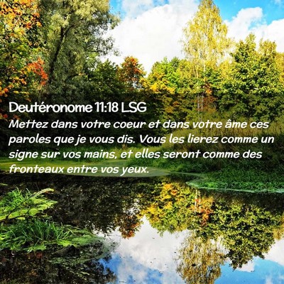 Picture 02 - Deutéronome 11:18 LSG - Mettez dans votre coeur et dans votre âme ces - Bible Verse Picture
