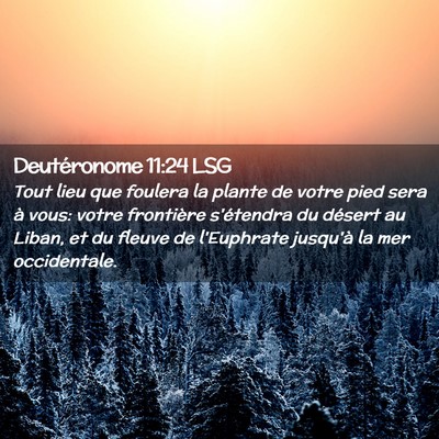 Picture 02 - Deutéronome 11:24 LSG - Tout lieu que foulera la plante de votre pied - Bible Verse Picture