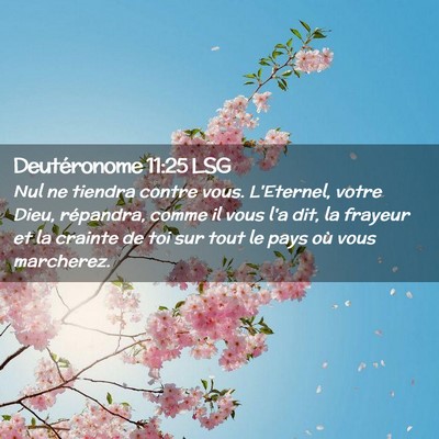 Picture 02 - Deutéronome 11:25 LSG - Nul ne tiendra contre vous. L'Eternel, votre - Bible Verse Picture