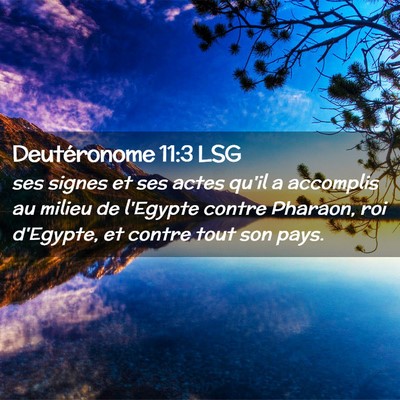 Picture 02 - Deutéronome 11:3 LSG - ses signes et ses actes qu'il a accomplis au - Bible Verse Picture
