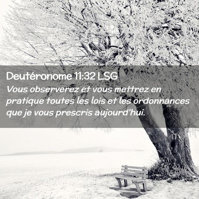 Picture 02 - Deutéronome 11:32 LSG - Vous observerez et vous mettrez en pratique - Bible Verse Picture