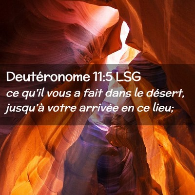 Picture 02 - Deutéronome 11:5 LSG - ce qu'il vous a fait dans le désert, jusqu'à - Bible Verse Picture