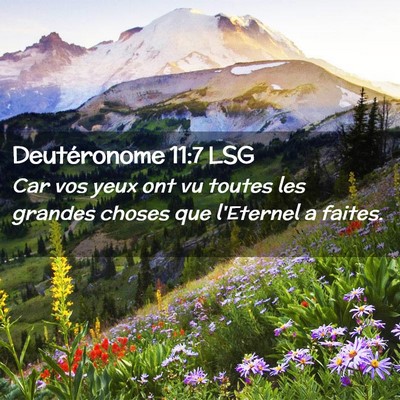 Picture 02 - Deutéronome 11:7 LSG - Car vos yeux ont vu toutes les grandes choses que - Bible Verse Picture