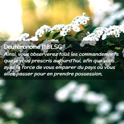 Picture 02 - Deutéronome 11:8 LSG - Ainsi, vous observerez tous les commandements que - Bible Verse Picture