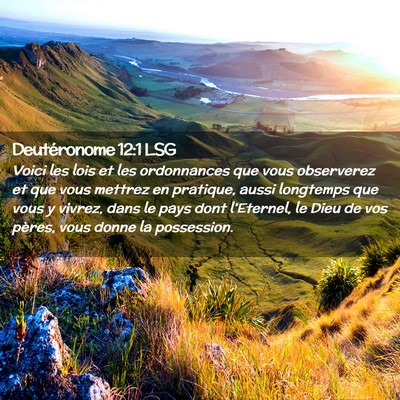 Picture 02 - Deutéronome 12:1 LSG - Voici les lois et les ordonnances que vous - Bible Verse Picture