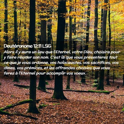 Picture 02 - Deutéronome 12:11 LSG - Alors il y aura un lieu que l'Eternel, votre - Bible Verse Picture