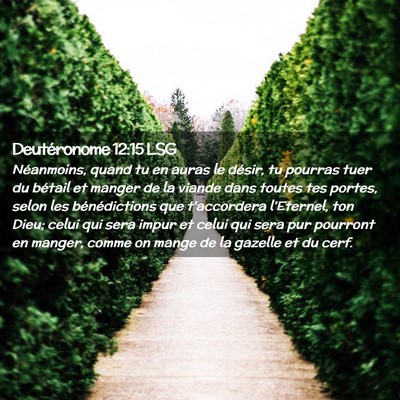 Picture 02 - Deutéronome 12:15 LSG - Néanmoins, quand tu en auras le désir, tu - Bible Verse Picture
