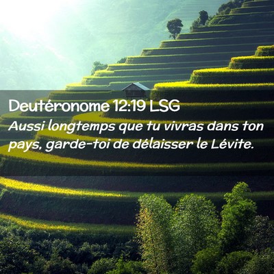 Picture 02 - Deutéronome 12:19 LSG - Aussi longtemps que tu vivras dans ton pays, - Bible Verse Picture