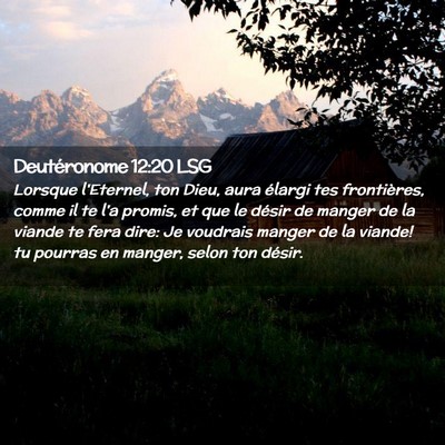 Picture 02 - Deutéronome 12:20 LSG - Lorsque l'Eternel, ton Dieu, aura élargi tes - Bible Verse Picture