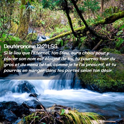 Picture 02 - Deutéronome 12:21 LSG - Si le lieu que l'Eternel, ton Dieu, aura choisi - Bible Verse Picture