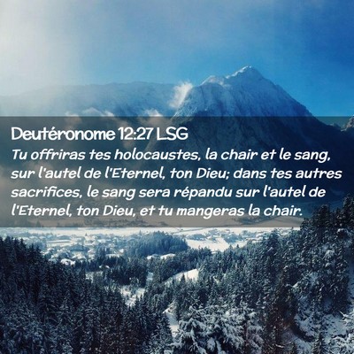 Picture 02 - Deutéronome 12:27 LSG - Tu offriras tes holocaustes, la chair et le sang, - Bible Verse Picture