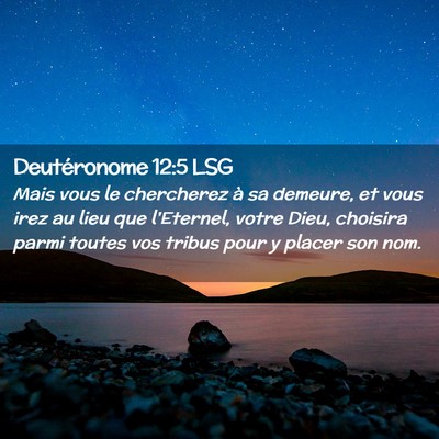 Picture 02 - Deutéronome 12:5 LSG - Mais vous le chercherez à sa demeure, et vous - Bible Verse Picture