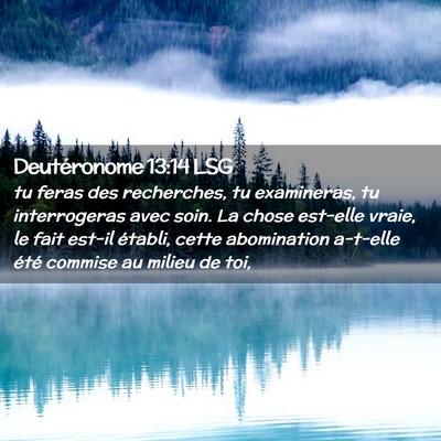 Picture 02 - Deutéronome 13:14 LSG - tu feras des recherches, tu examineras, tu - Bible Verse Picture