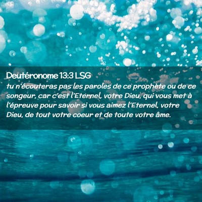 Picture 02 - Deutéronome 13:3 LSG - tu n'écouteras pas les paroles de ce prophète - Bible Verse Picture