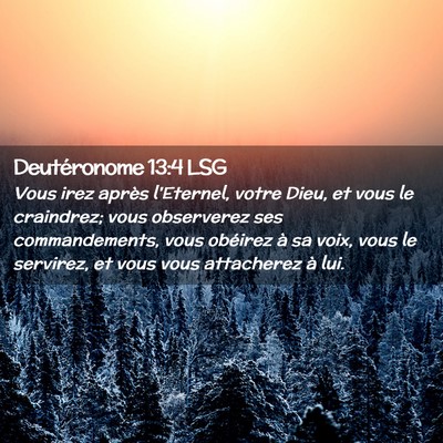 Picture 02 - Deutéronome 13:4 LSG - Vous irez après l'Eternel, votre Dieu, et vous - Bible Verse Picture