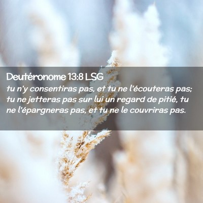 Picture 02 - Deutéronome 13:8 LSG - tu n'y consentiras pas, et tu ne l'écouteras - Bible Verse Picture