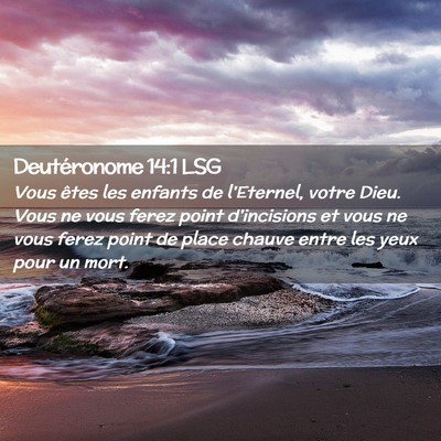 Picture 02 - Deutéronome 14:1 LSG - Vous êtes les enfants de l'Eternel, votre Dieu. - Bible Verse Picture