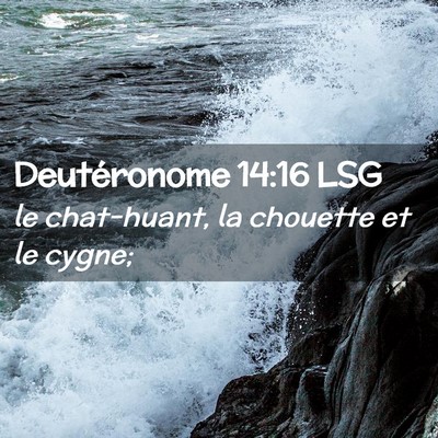 Picture 02 - Deutéronome 14:16 LSG - le chat-huant, la chouette et le - Bible Verse Picture