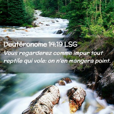Picture 02 - Deutéronome 14:19 LSG - Vous regarderez comme impur tout reptile qui - Bible Verse Picture