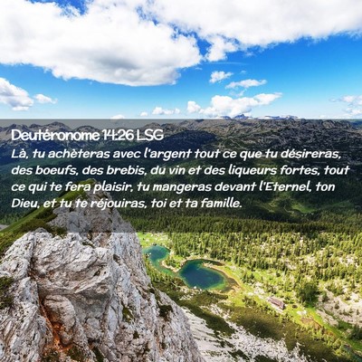 Picture 02 - Deutéronome 14:26 LSG - Là, tu achèteras avec l'argent tout ce que tu - Bible Verse Picture