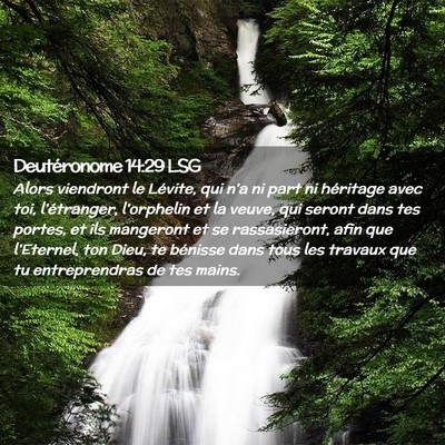 Picture 02 - Deutéronome 14:29 LSG - Alors viendront le Lévite, qui n'a ni part ni - Bible Verse Picture