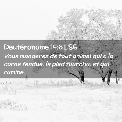 Picture 02 - Deutéronome 14:6 LSG - Vous mangerez de tout animal qui a la corne - Bible Verse Picture