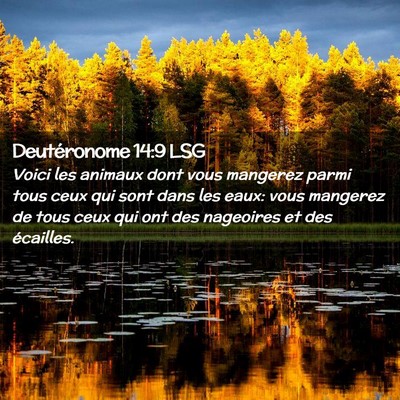 Picture 02 - Deutéronome 14:9 LSG - Voici les animaux dont vous mangerez parmi tous - Bible Verse Picture