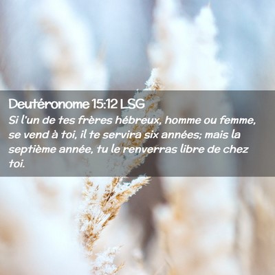 Picture 02 - Deutéronome 15:12 LSG - Si l'un de tes frères hébreux, homme ou femme, - Bible Verse Picture